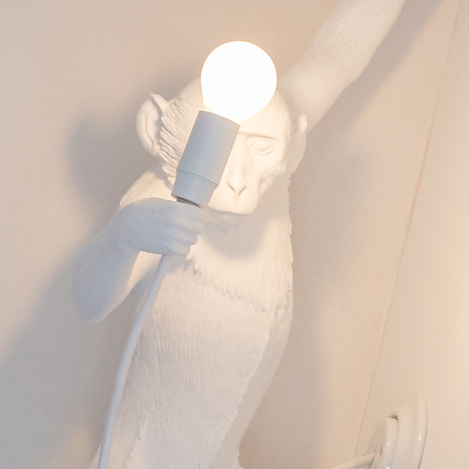 Die Lampe - Fotografie Anja Schnell